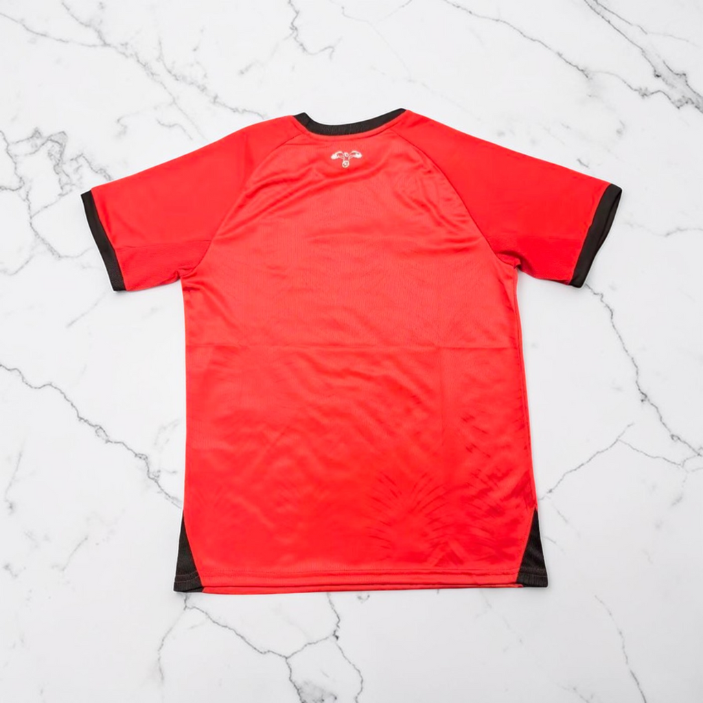 Maillot extérieur de la Jordanie 2026