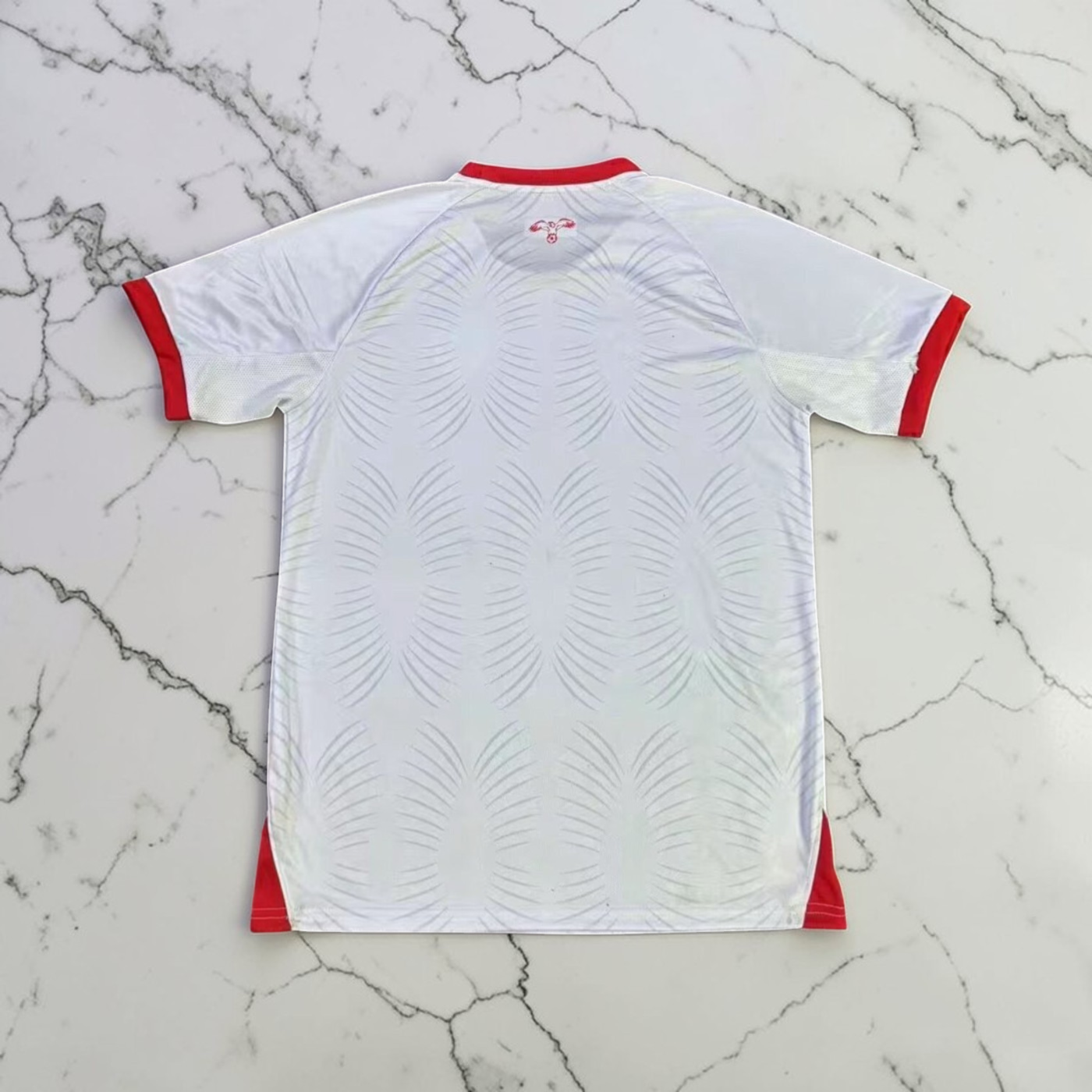 Maillot domicile de la Jordanie 2026