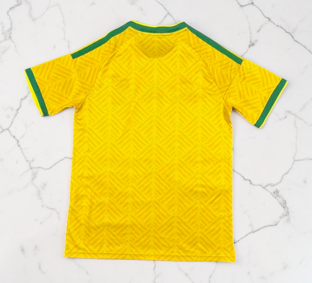 Maillot domicile de l'Afrique du Sud 2026